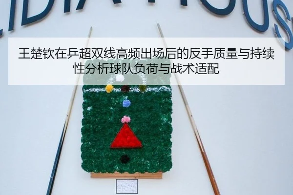 王楚钦在乒超双线高频出场后的反手质量与持续性分析球队负荷与战术适配