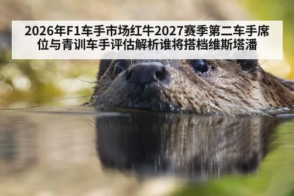 2026年F1车手市场红牛2027赛季第二车手席位与青训车手评估解析谁将搭档维斯塔潘